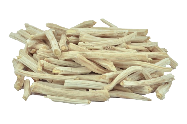 White Shatavari herb